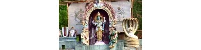 041. திருவயிந்திரபுரம் (அயிந்தை)